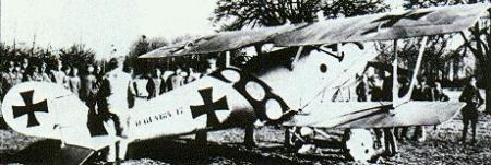PFALZ D III