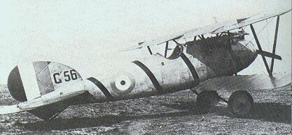 ALBATROS DV